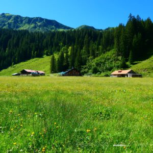 Kleinwalsertal: Zur Alpe Melköde im Schwarzbachtal