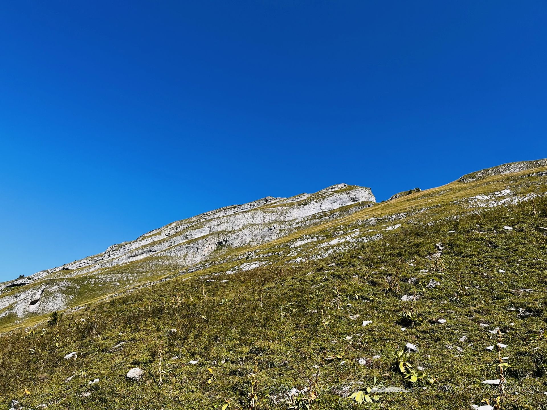 Kanisfluh - einer der bekanntesten Berge im Bregenzerwald