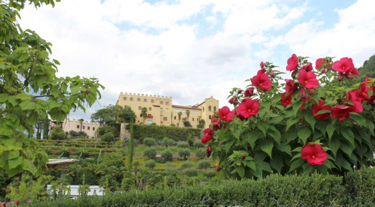 In den Gärten von Schloss Trauttmansdorff