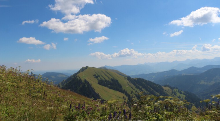 Panoramatour am Hochgrat