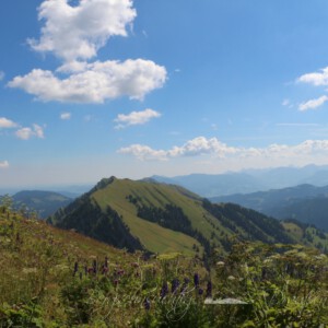 Panoramatour am Hochgrat