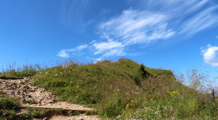 Panoramatour am Hochgrat