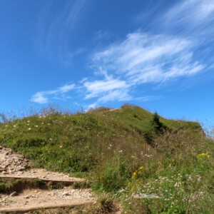 Panoramatour am Hochgrat