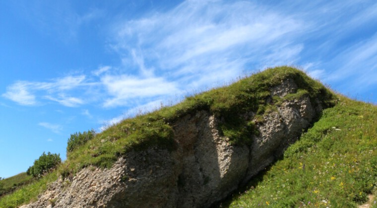 Panoramatour am Hochgrat Panoramatour am Hochgrat