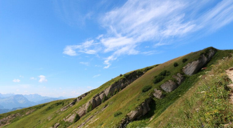 Panoramatour am Hochgrat