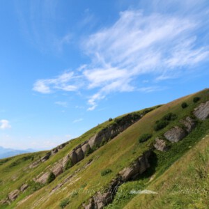 Panoramatour am Hochgrat