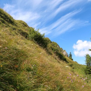 Panoramatour am Hochgrat