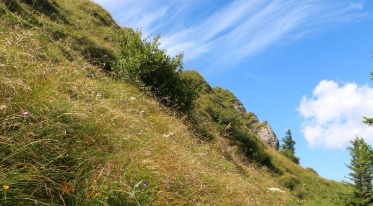 Panoramatour am Hochgrat