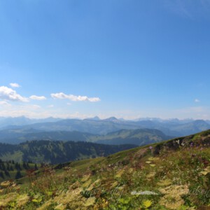 Panoramatour am Hochgrat