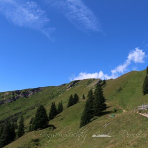 Panoramatour am Hochgrat Panoramatour am Hochgrat