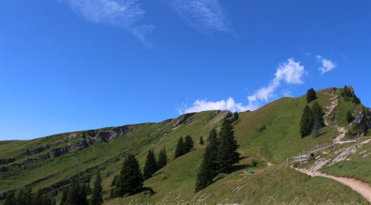 Panoramatour am Hochgrat Panoramatour am Hochgrat