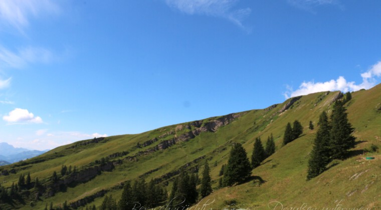 Panoramatour am Hochgrat Panoramatour am Hochgrat