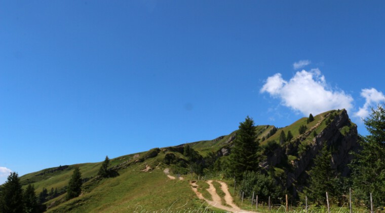 Panoramatour am Hochgrat Panoramatour am Hochgrat