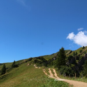 Panoramatour am Hochgrat Panoramatour am Hochgrat