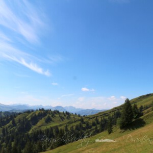 Panoramatour am Hochgrat Panoramatour am Hochgrat