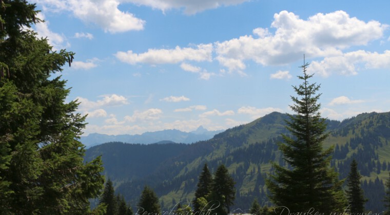 Panoramatour am Hochgrat Panoramatour am Hochgrat