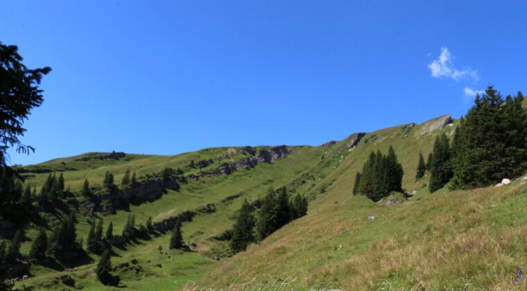 Panoramatour am Hochgrat