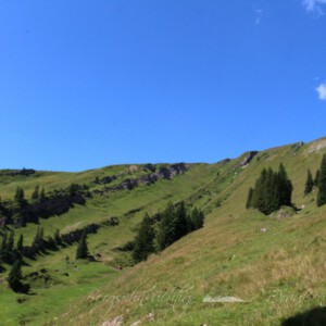 Panoramatour am Hochgrat