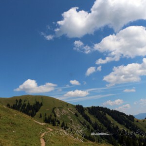hPanoramatour am Hochgrat
