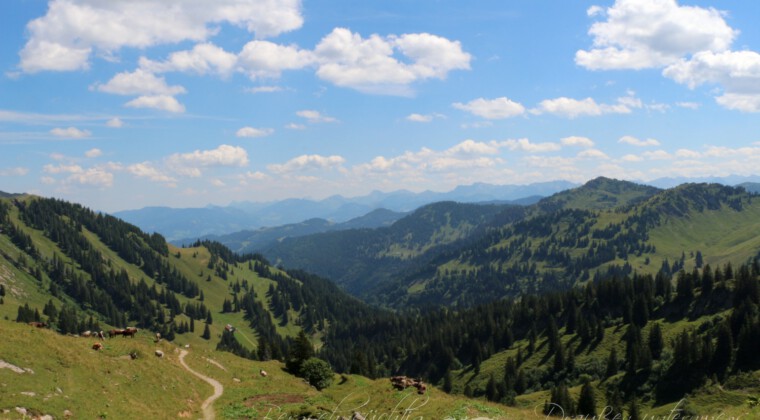 Panoramatour am Hochgrat Panoramatour am Hochgrat